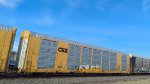 CSX G50159 (Body) TTGX 699834 (Flat)